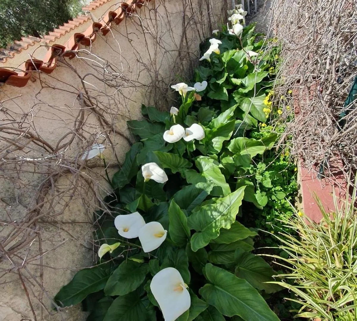 Διαμέρισμα Appartamenti Villa Augusta-Del-Sol Fontane Bianche